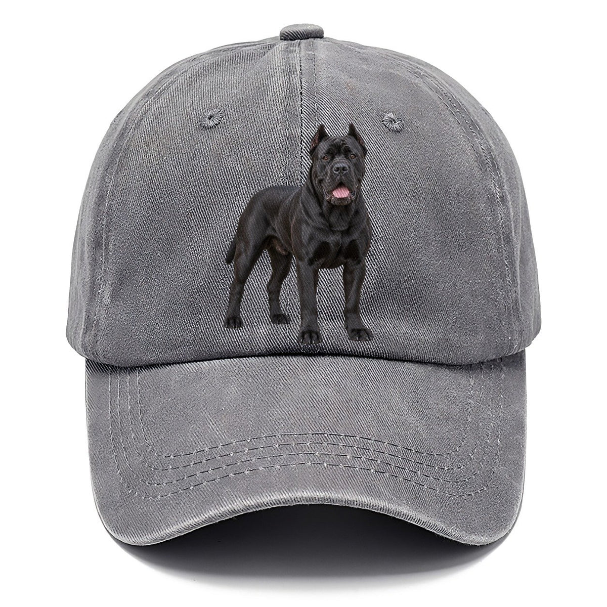 Cane Corso Standing Top Breeds Classic Cap – Urban Haze