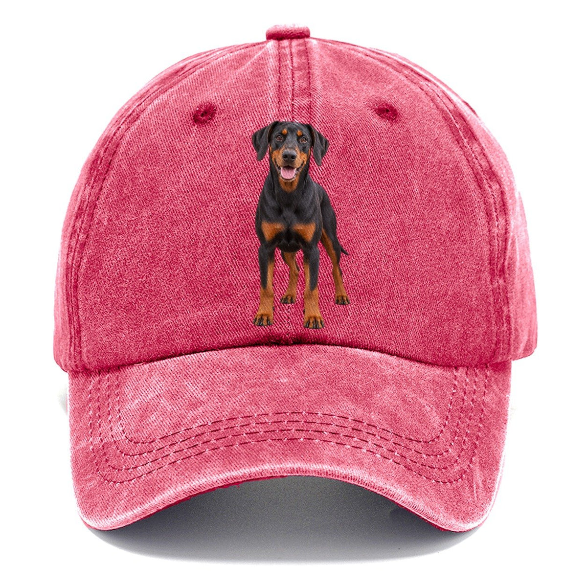 Doberman Pinscher Standing Front Facing Top Breeds Classic Cap – Pomegranate Blush