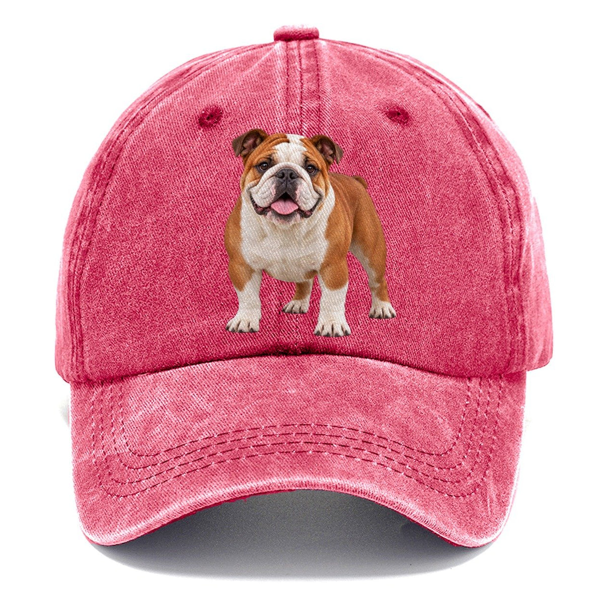 English Bulldog Standing Top Breeds Classic Cap – Pomegranate Blush