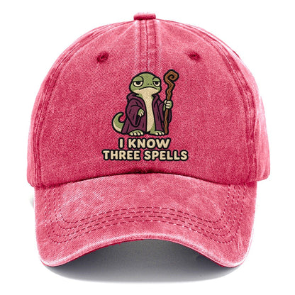 Lizard Mage Weary Court Classic Cap – Pomegranate Blush