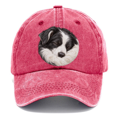 Border Collie Ruff Tuck Pastimes Companions Classic Cap – Pomegranate Blush