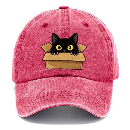 Black Cat Cardboard Box Fan Favorites Classic Cap – Pomegranate Blush