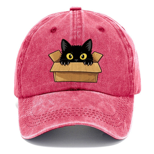 Black Cat Cardboard Box Fan Favorites Classic Cap – Pomegranate Blush