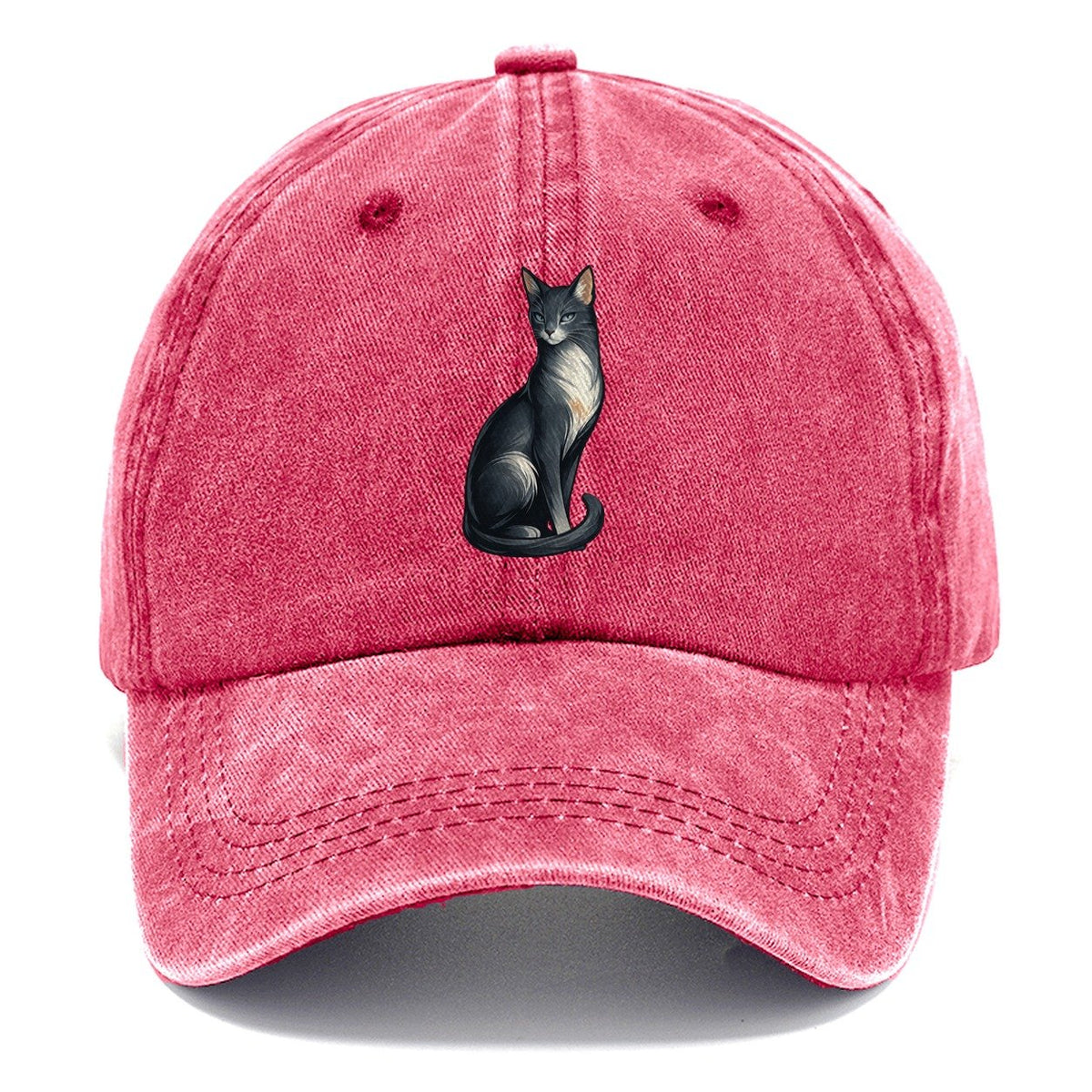 Blue-Eyed Gray Cat Classic Cap – Pomegranate Blush