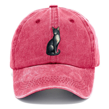 Blue-Eyed Gray Cat Classic Cap – Pomegranate Blush