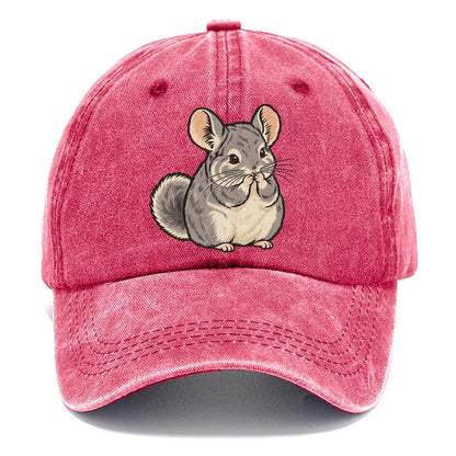 Chinchilla Whisker Wash Small Pet Logos Classic Cap – Pomegranate Blush