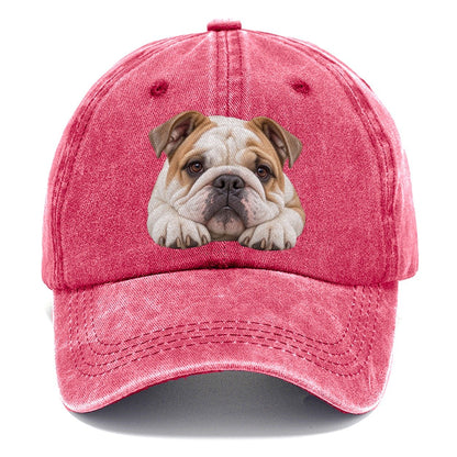 Bulldog Paw Pillow Character Club Classic Cap – Pomegranate Blush