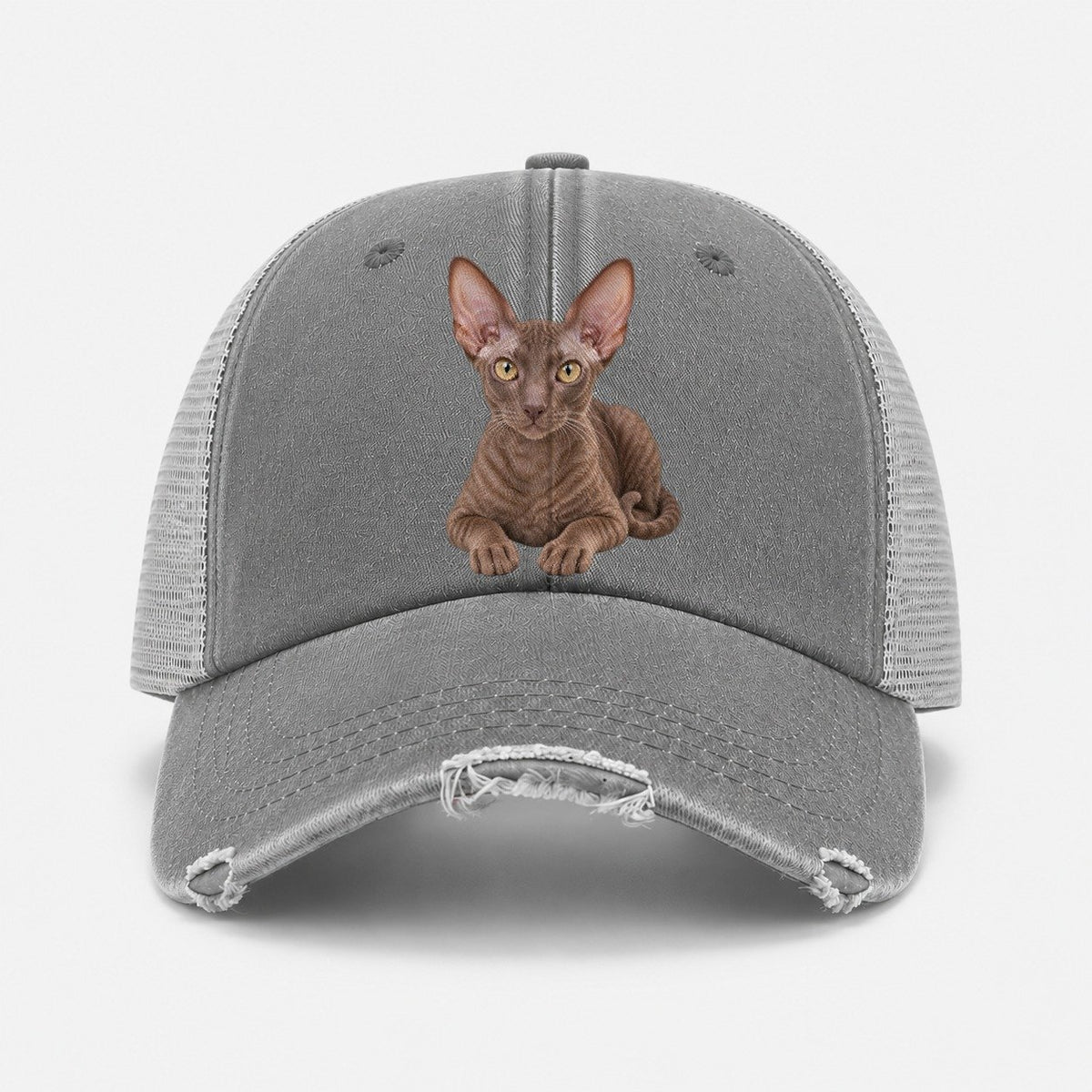 Grey — front view