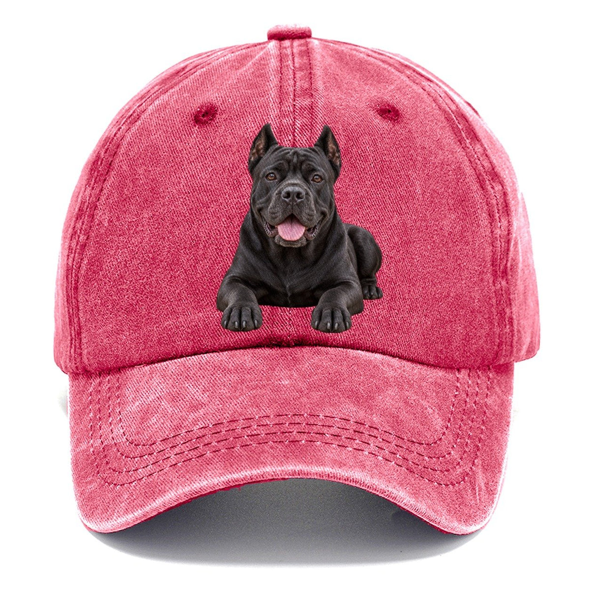 Cane Corso Lying Down Top Breeds Classic Cap – Pomegranate Blush
