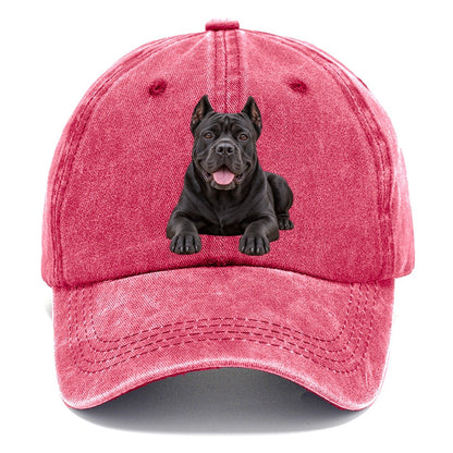 Cane Corso Lying Down Top Breeds Classic Cap – Pomegranate Blush