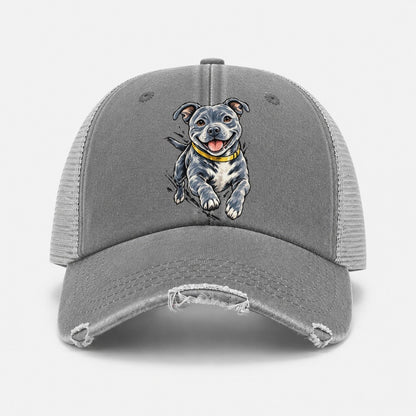 Grey — front view