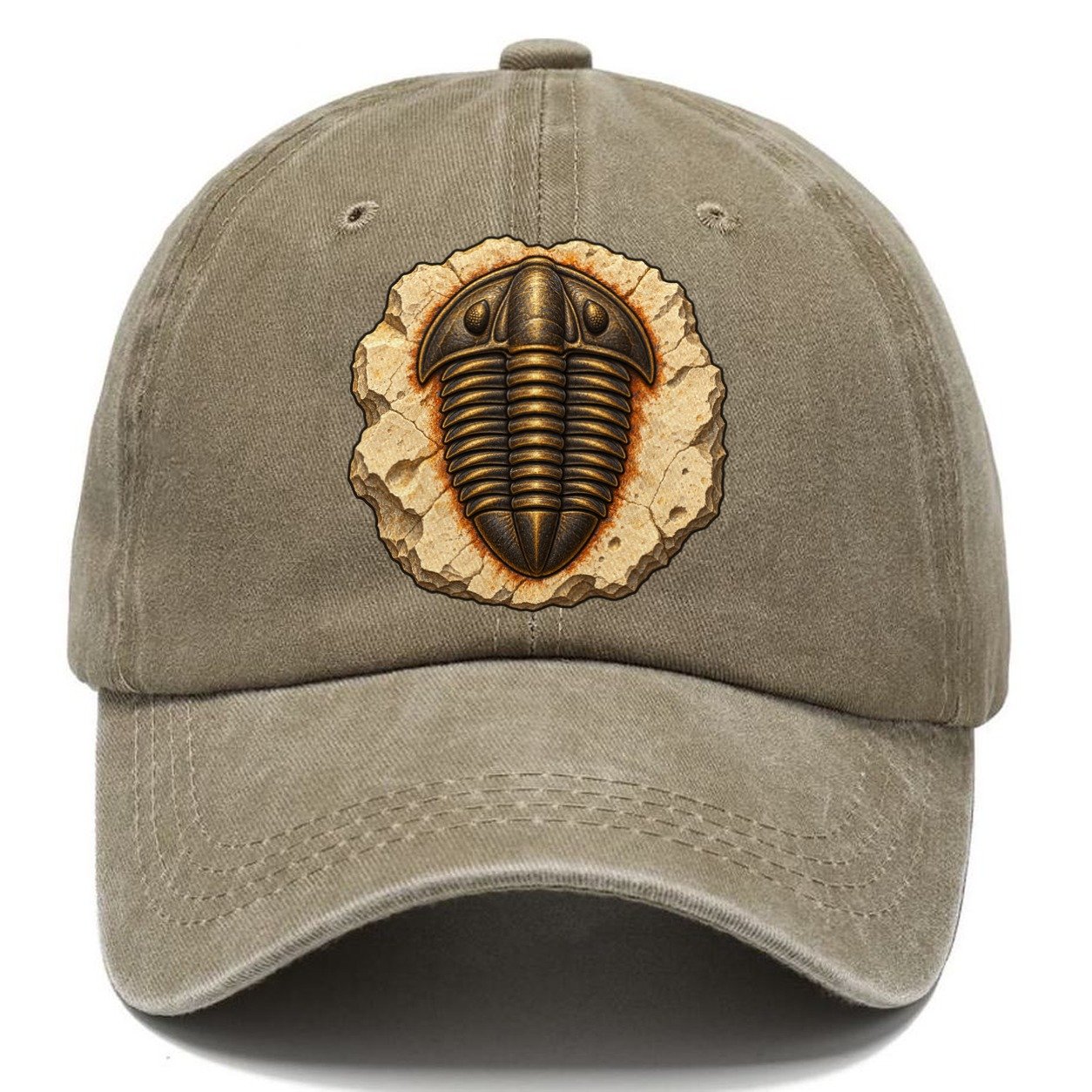 Trilobite In Limestone Rocks And Minerals Classic Cap – Warm Sand