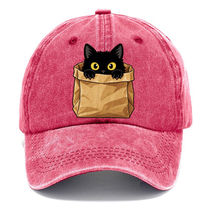 Black Cat Paper Bag Fan Favorites Classic Cap – Pomegranate Blush