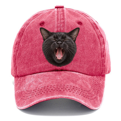 Black Cat Velvet Yawn Pastimes Companions Classic Cap – Pomegranate Blush