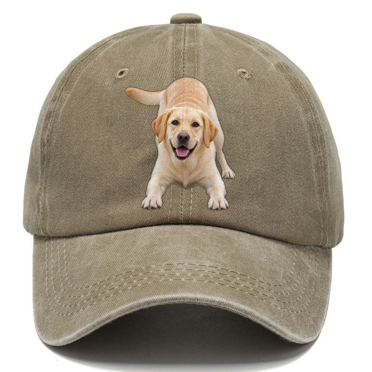 Labrador Retriever Play Bow Top Breeds Classic Cap – Warm Sand