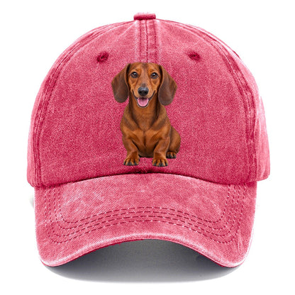 Dachshund Sitting Top Breeds Classic Cap – Pomegranate Blush