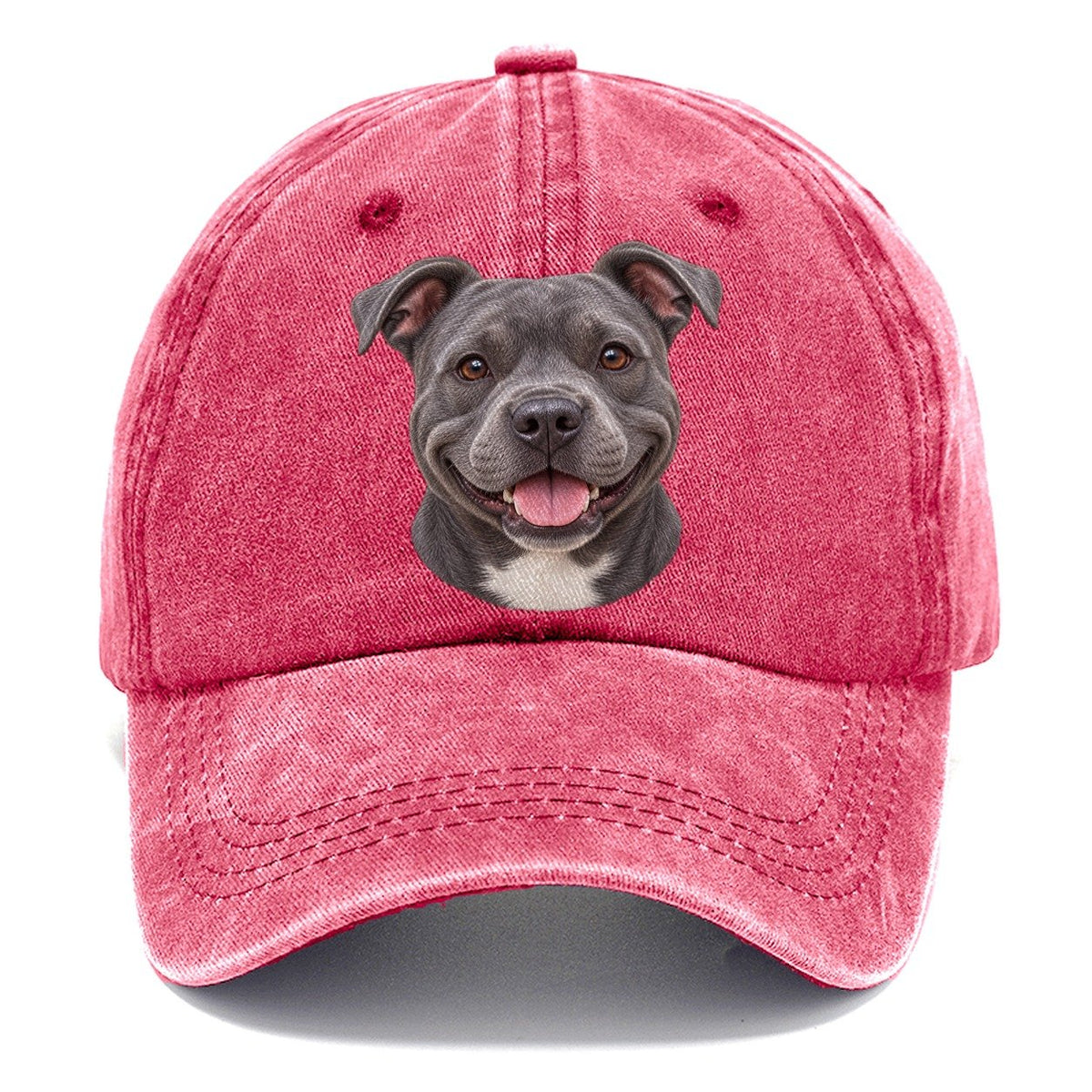 Staffy Blue Velvet Grin Pastimes Companions Classic Cap – Pomegranate Blush