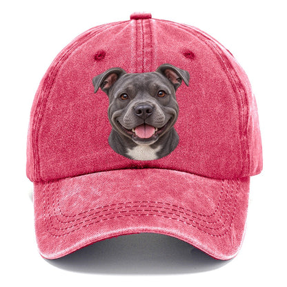 Staffy Blue Velvet Grin Pastimes Companions Classic Cap – Pomegranate Blush