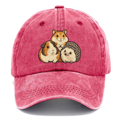 Three Tiny Faces Small Pet Logos Classic Cap – Pomegranate Blush