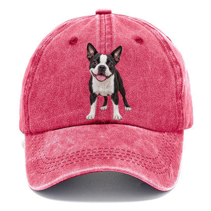 Boston Terrier Standing Top Breeds Classic Cap – Pomegranate Blush