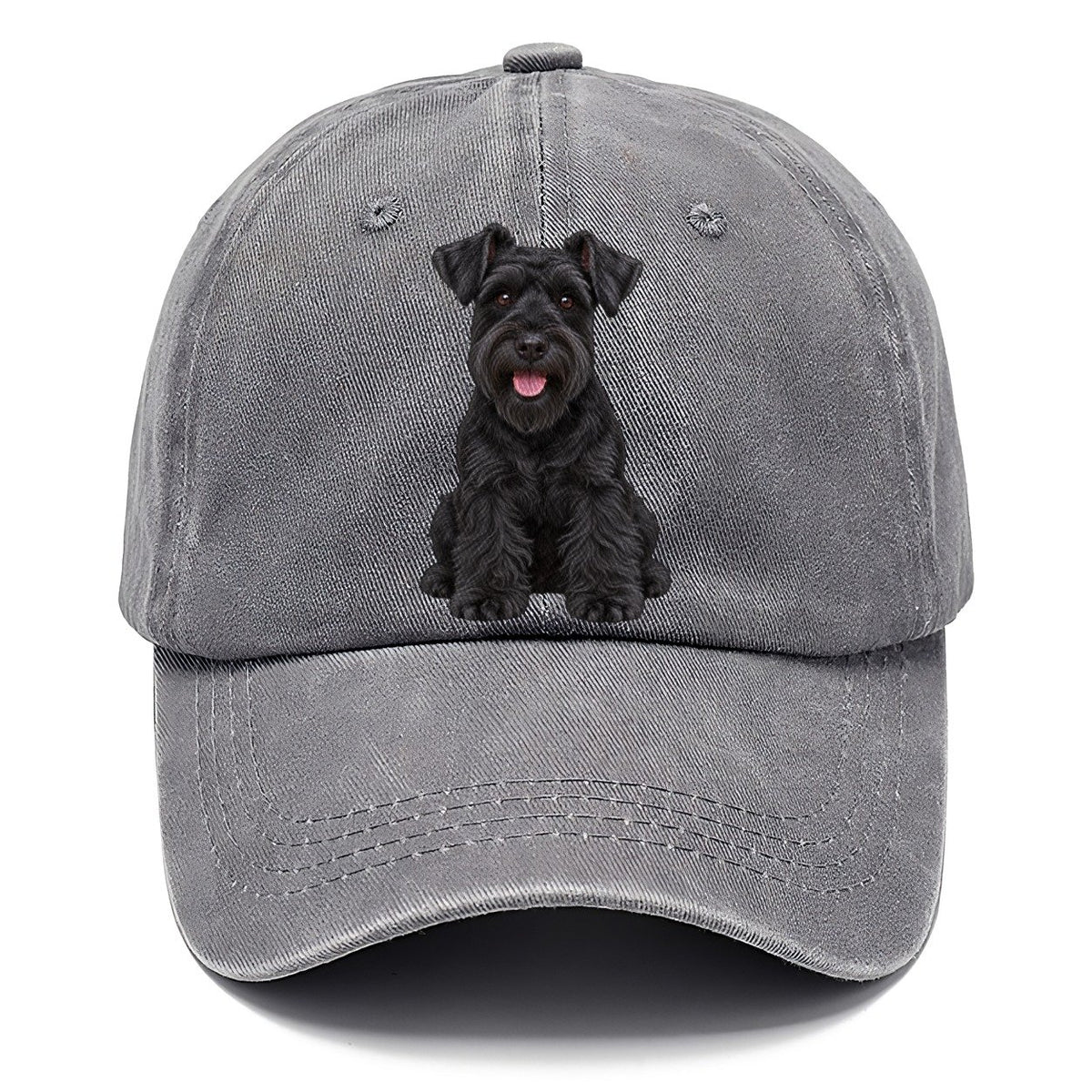 Black Miniature Schnauzer Classic Cap – Urban Haze
