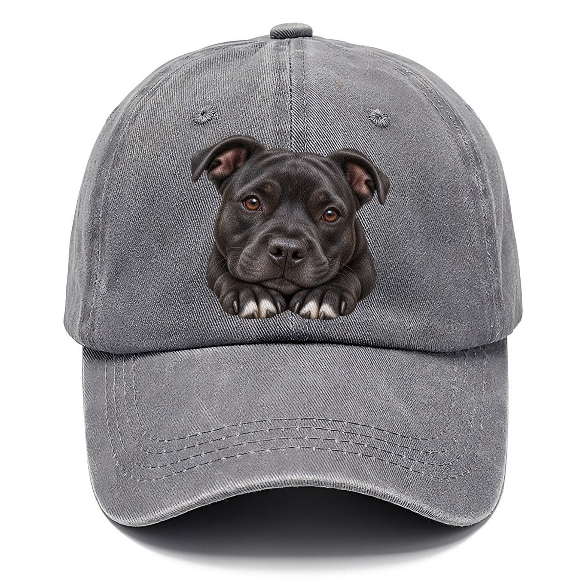Staffy Paws Beneath Chin Pastimes Companions Classic Cap – Urban Haze