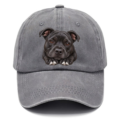 Staffy Paws Beneath Chin Pastimes Companions Classic Cap – Urban Haze