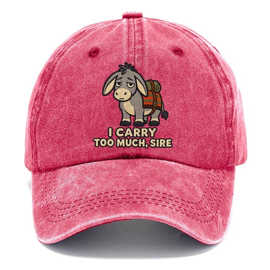 Donkey Bearer Weary Court Classic Cap – Pomegranate Blush
