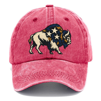 Bison Night Sky Sundown Familiars Classic Cap – Pomegranate Blush