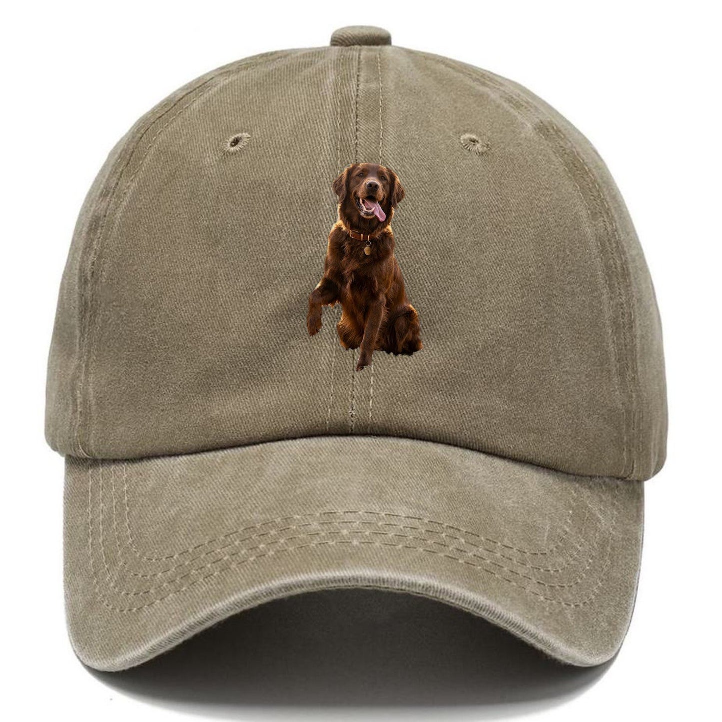 Dark Retriever Classic Cap – Warm Sand