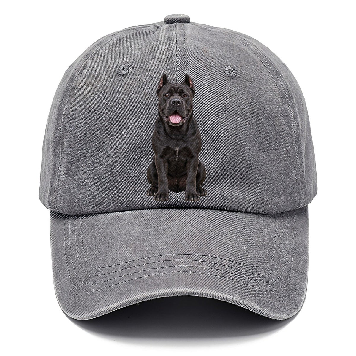 Cane Corso Sitting Top Breeds Classic Cap – Urban Haze
