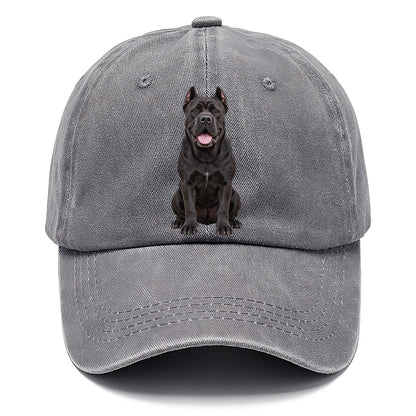 Cane Corso Sitting Top Breeds Classic Cap – Urban Haze