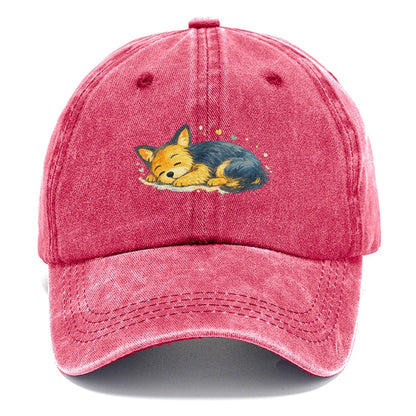Sleeping Fox Curled Up Classic Cap – Pomegranate Blush