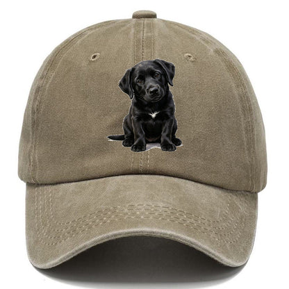 Black Puppy Classic Cap – Warm Sand