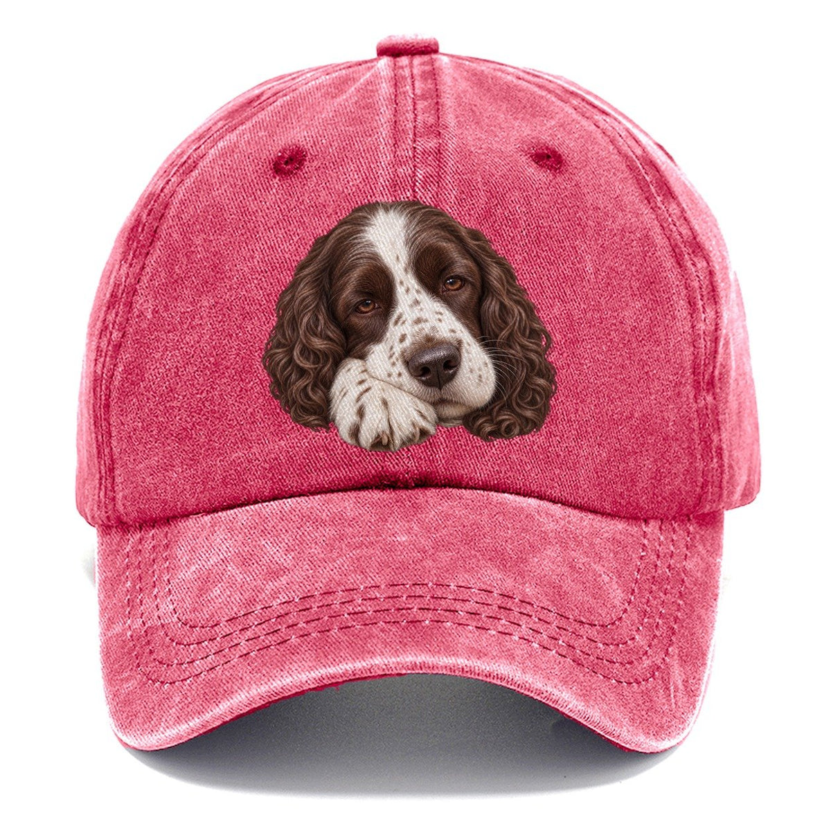 Springer Sleepy Paw Fold Pastimes Companions Classic Cap – Pomegranate Blush