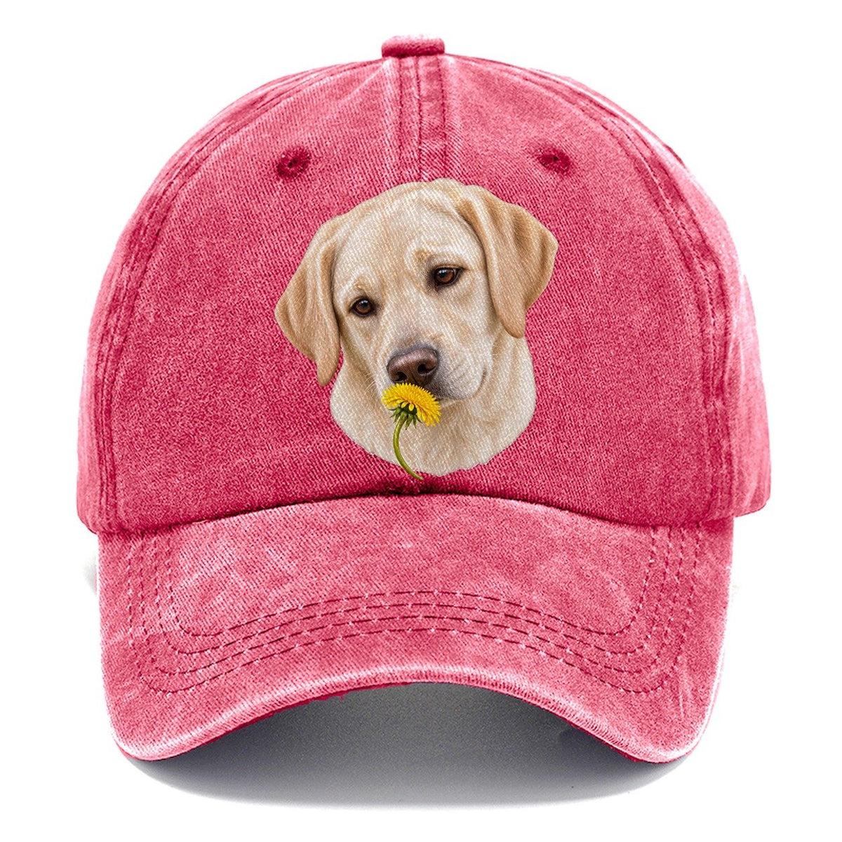 Cream Labrador Dandelion Pause Pastimes Companions Classic Cap – Pomegranate Blush