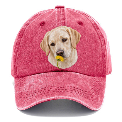 Cream Labrador Dandelion Pause Pastimes Companions Classic Cap – Pomegranate Blush