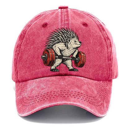 Porcupine Quill Rows Animal Lifters Classic Cap – Pomegranate Blush