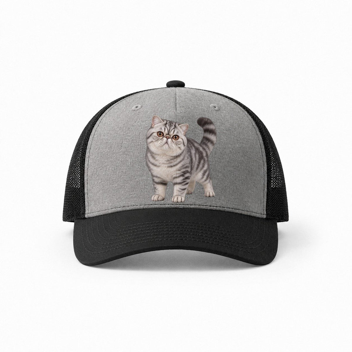 Grey-Black — front view