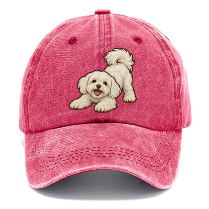Maltese Play Bow Fan Favorites Classic Cap – Pomegranate Blush