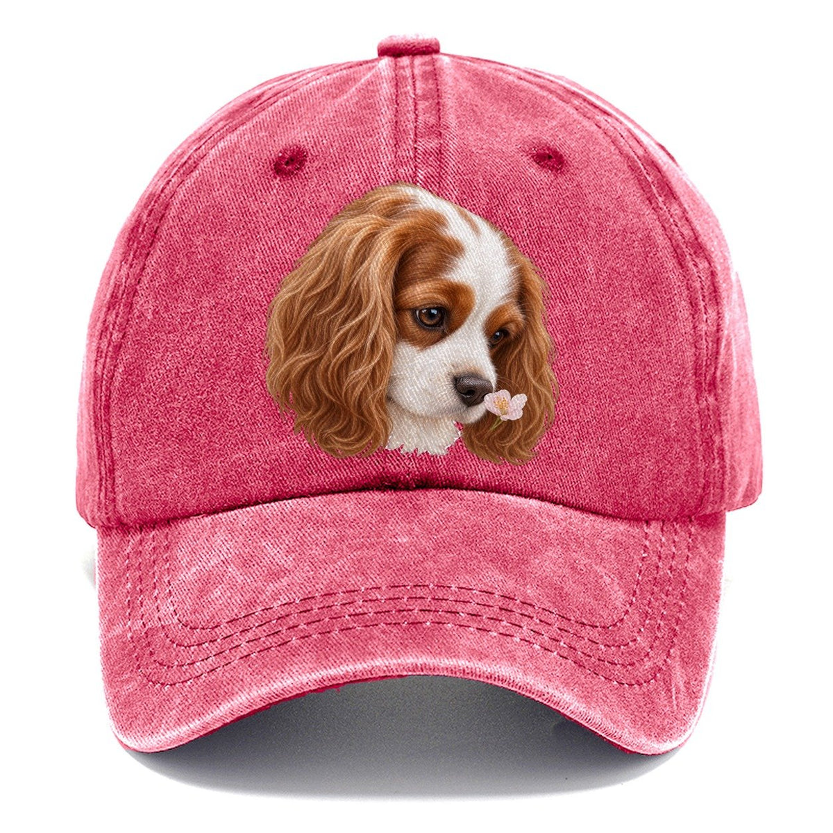 Cavalier Petal Greeting Pastimes Companions Classic Cap – Pomegranate Blush