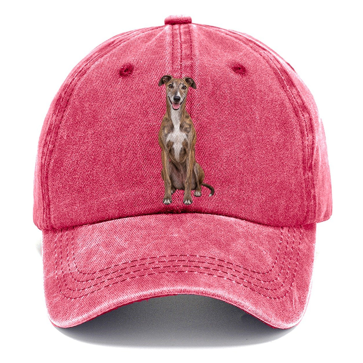 Greyhound Sitting Top Breeds Classic Cap – Pomegranate Blush
