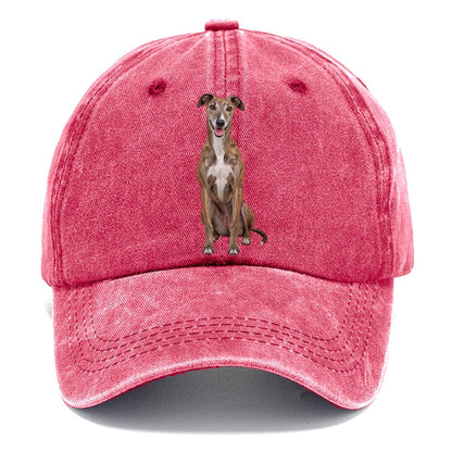 Greyhound Sitting Top Breeds Classic Cap – Pomegranate Blush