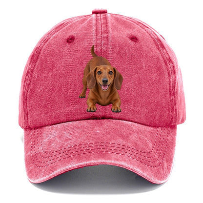 Dachshund Play Bow Top Breeds Classic Cap – Pomegranate Blush