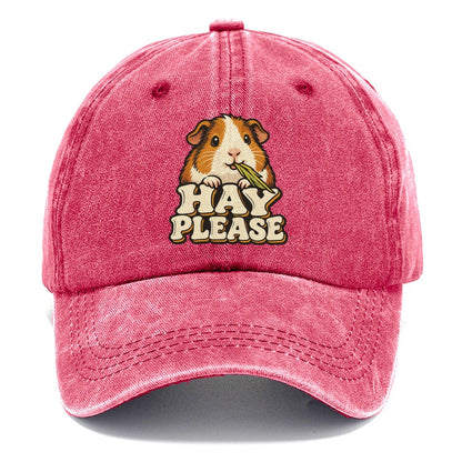 Hay Please Small Pet Logos Classic Cap – Pomegranate Blush