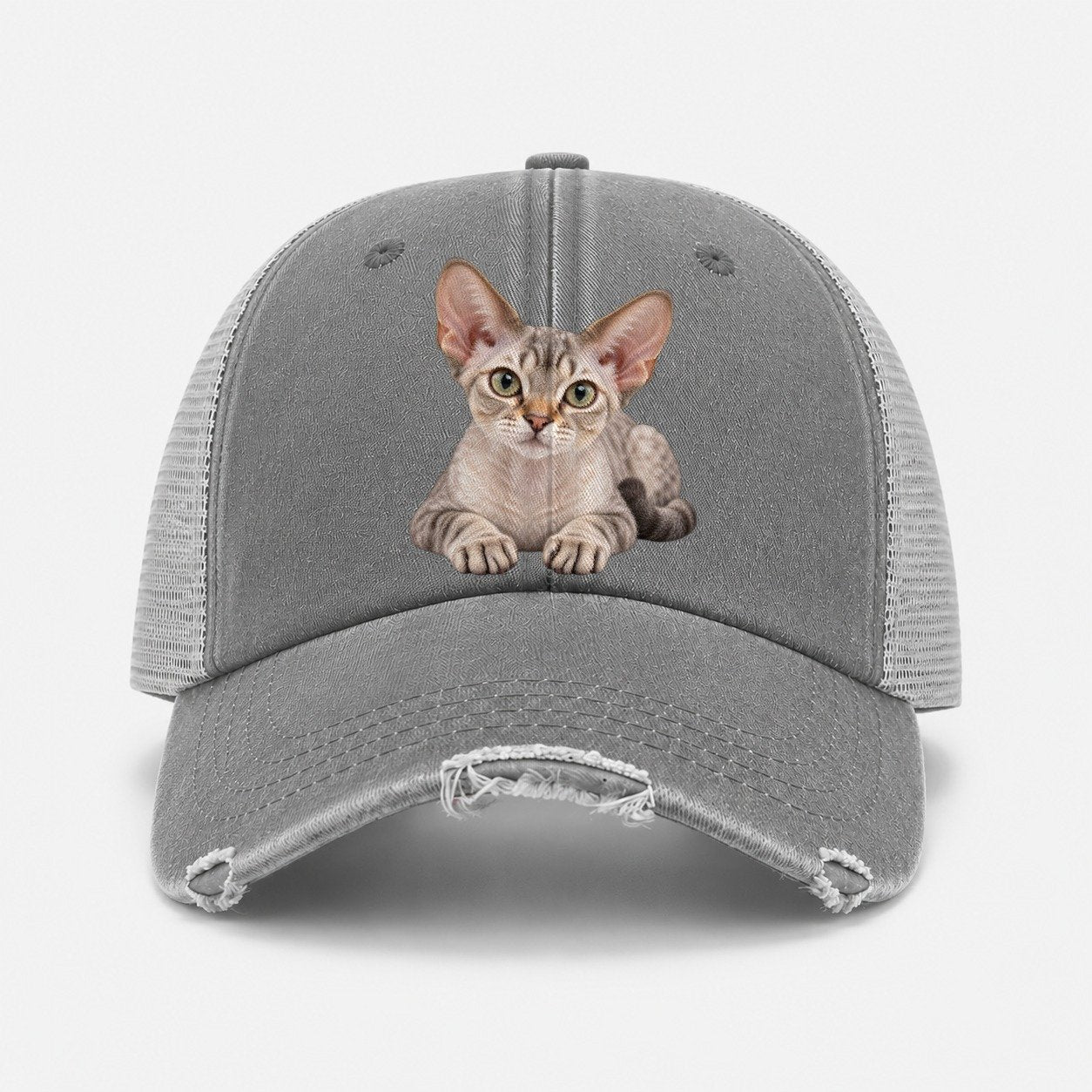Grey — front view