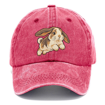 Rabbit Gentle Hop Small Pet Logos Classic Cap – Pomegranate Blush