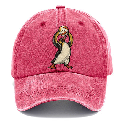 Penguin Volleyball Setter Sundown Familiars Classic Cap – Pomegranate Blush