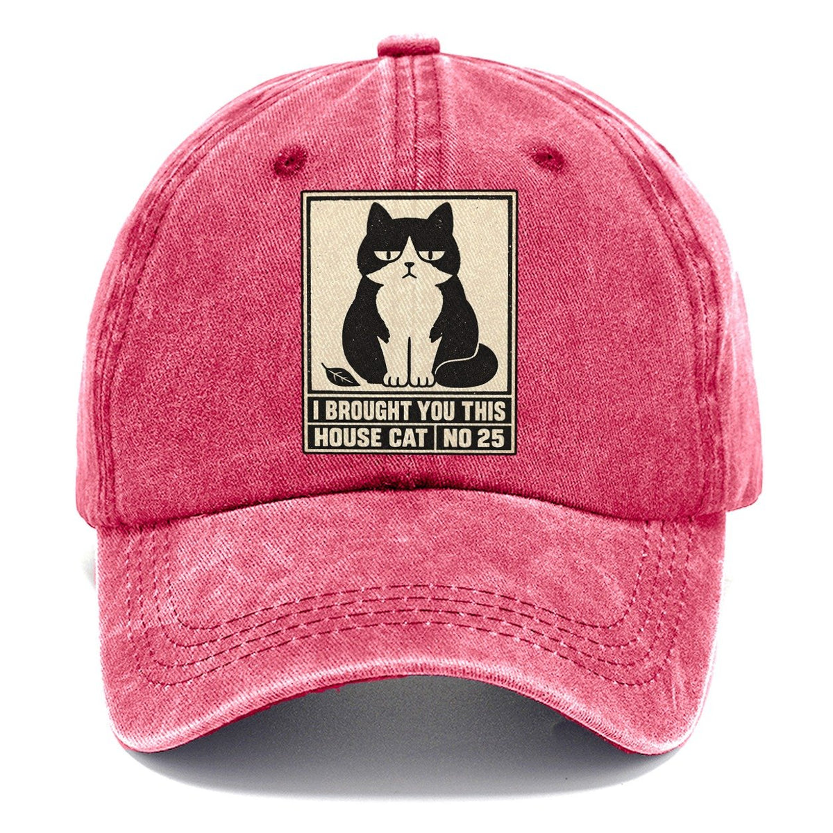 I Brought You This Neko Says No Classic Cap – Pomegranate Blush