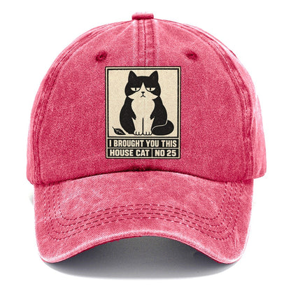 I Brought You This Neko Says No Classic Cap – Pomegranate Blush